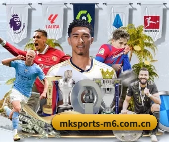 mk体育平台 APP