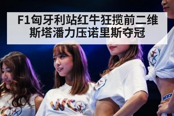F1匈牙利站红牛狂揽前二维斯塔潘力压诺里斯夺冠