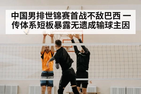 volleyball block net