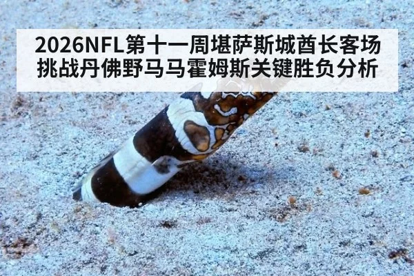 2026NFL第十一周堪萨斯城酋长客场挑战丹佛野马马霍姆斯关键胜负分析